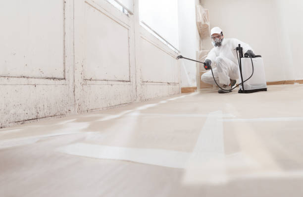 24/7 Emergency Crawl Space Mold Removal experts in Bloomfield, NJ